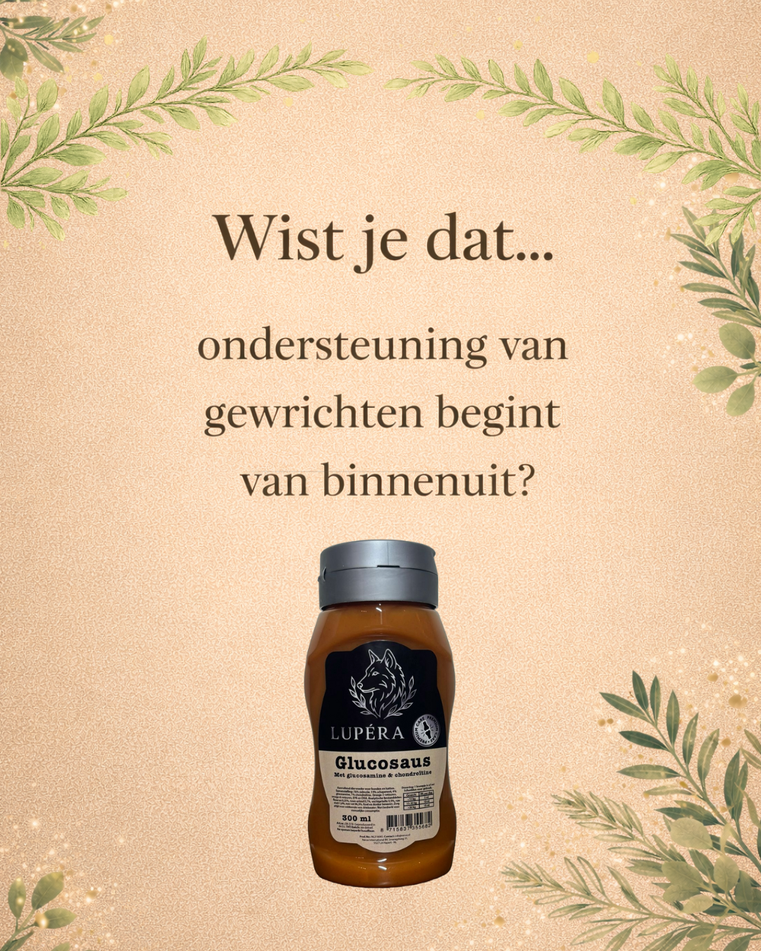 Wist je dat ondersteuning van gewrichten van binnenuit begint?