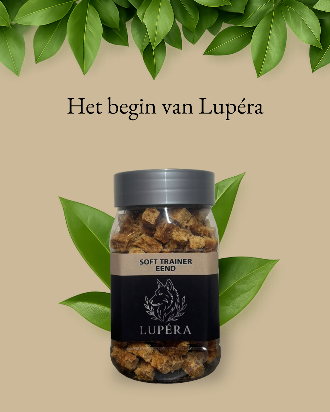 Het begin van Lupéra: waarom we kozen voor hypoallergene hondensnacks